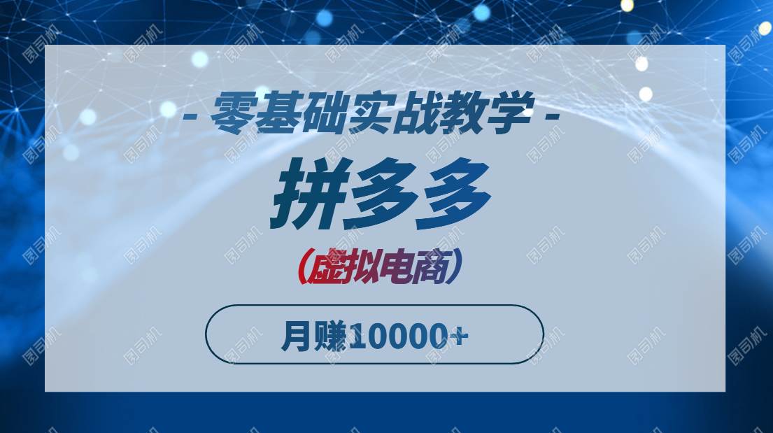 （14880期）拼多多虚拟电商，零基础实战教学，快速打爆商品，新手也能月入10000+ - HEIXMI（中国站）-HEIXMI（中国站）